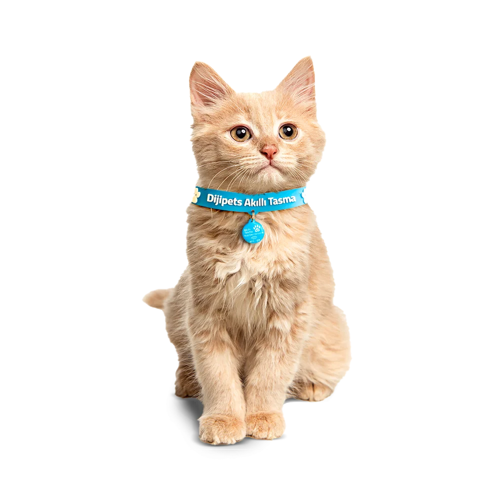 Nfc & QR Kedi / Cat 2.5 cm Akıllı Kolye