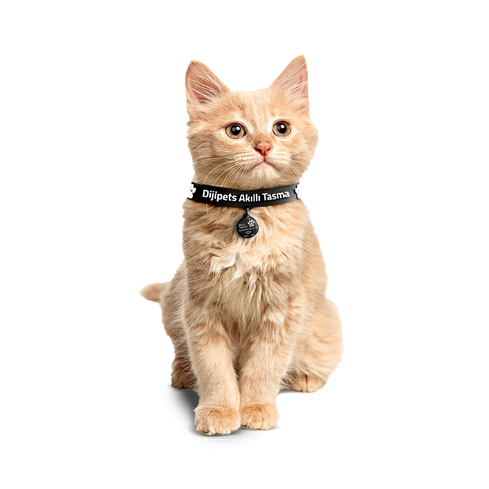 Nfc & QR Kedi / Cat 2.5 cm Akıllı Kolye